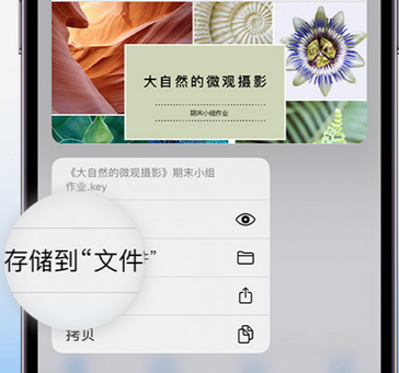 乌尔禾apple维修中心分享iPhone文件应用中存储和找到下载文件