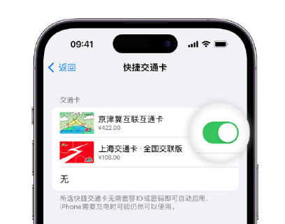 乌尔禾apple维修点分享iPhone上更换Apple Pay快捷交通卡手绘卡面 