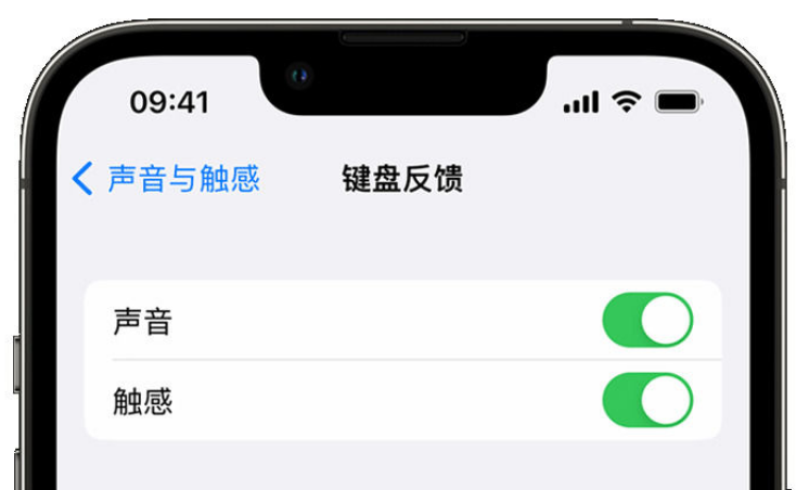 乌尔禾苹果手机维修分享iPhone 14触感键盘使用方法 