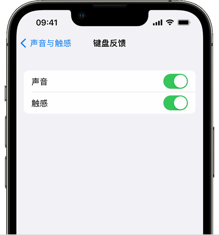 乌尔禾苹果14维修店分享如何在 iPhone 14 机型中使用触感键盘 