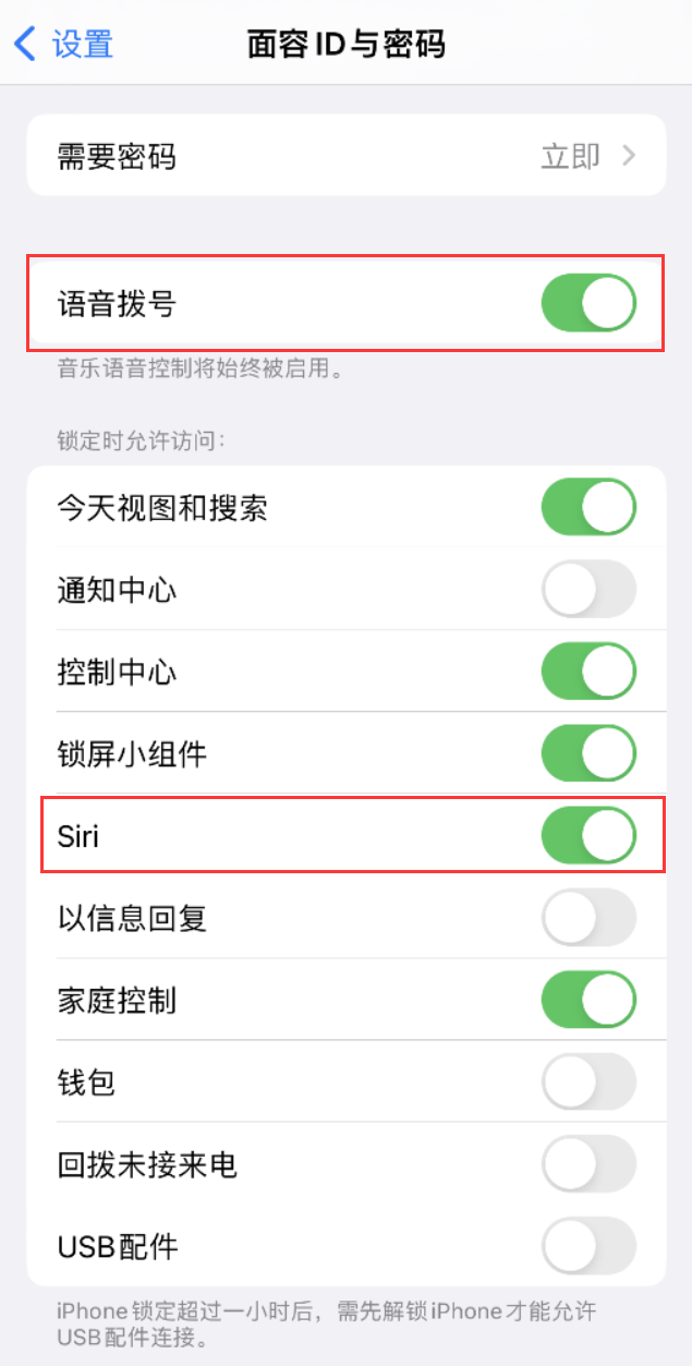 乌尔禾苹果维修网点分享不解锁 iPhone 的情况下通过 Siri 拨打电话的方法 