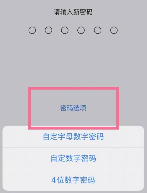 乌尔禾苹果14维修分享iPhone 14plus设置密码的方法 