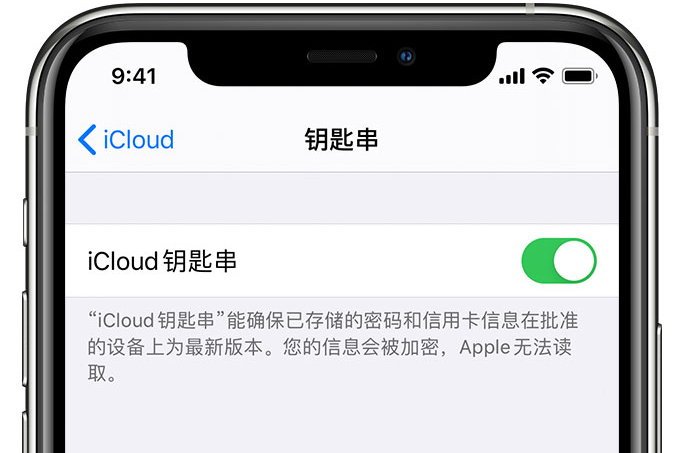 乌尔禾苹果手机维修分享在 iPhone 上开启 iCloud 钥匙串之后会储存哪些信息 