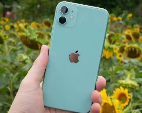 乌尔禾苹果维修点分享iPhone 11锁屏密码认知与使用科普 